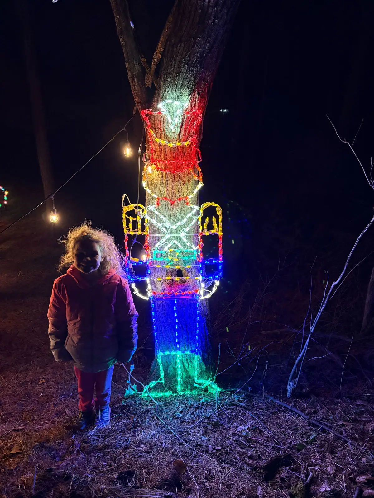 Nutcracker wireframe light display along the track